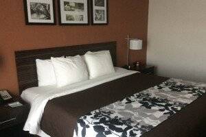 Sleep Inn & Suites And Conference Center Downtown picture