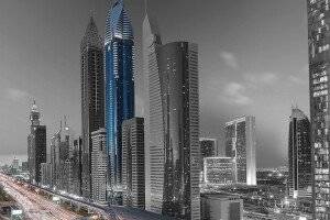 Rose Rayhaan by Rotana - picture