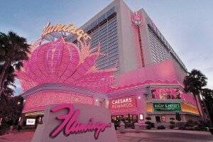 Flamingo Hotel & Casino picture