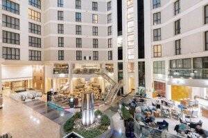 Sofitel London Gatwick picture