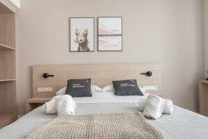 Limehome Carrer de Besalú 82 picture